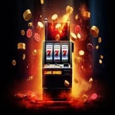 dkbet